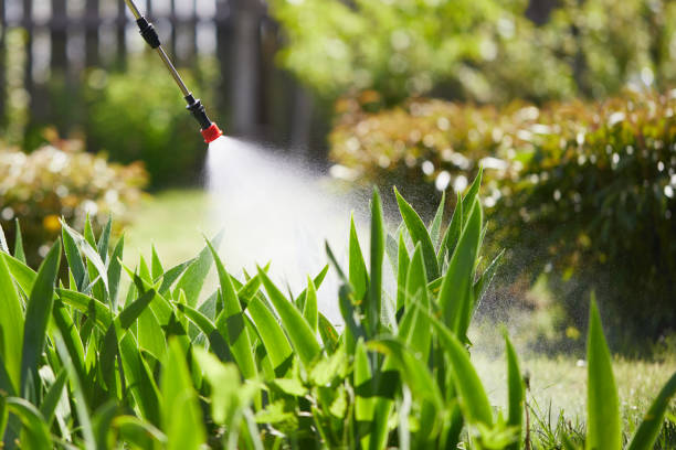 Tamper-Resistant Bait Stations for Rodents in McCook