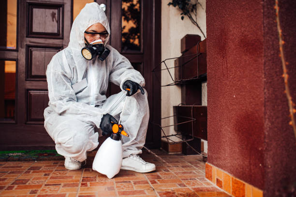 Attic and Crawl Space Rodent Treatment in McCook
