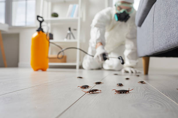 Commercial Rodent Management in McCook